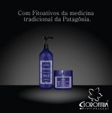 Restaurador Corretivo